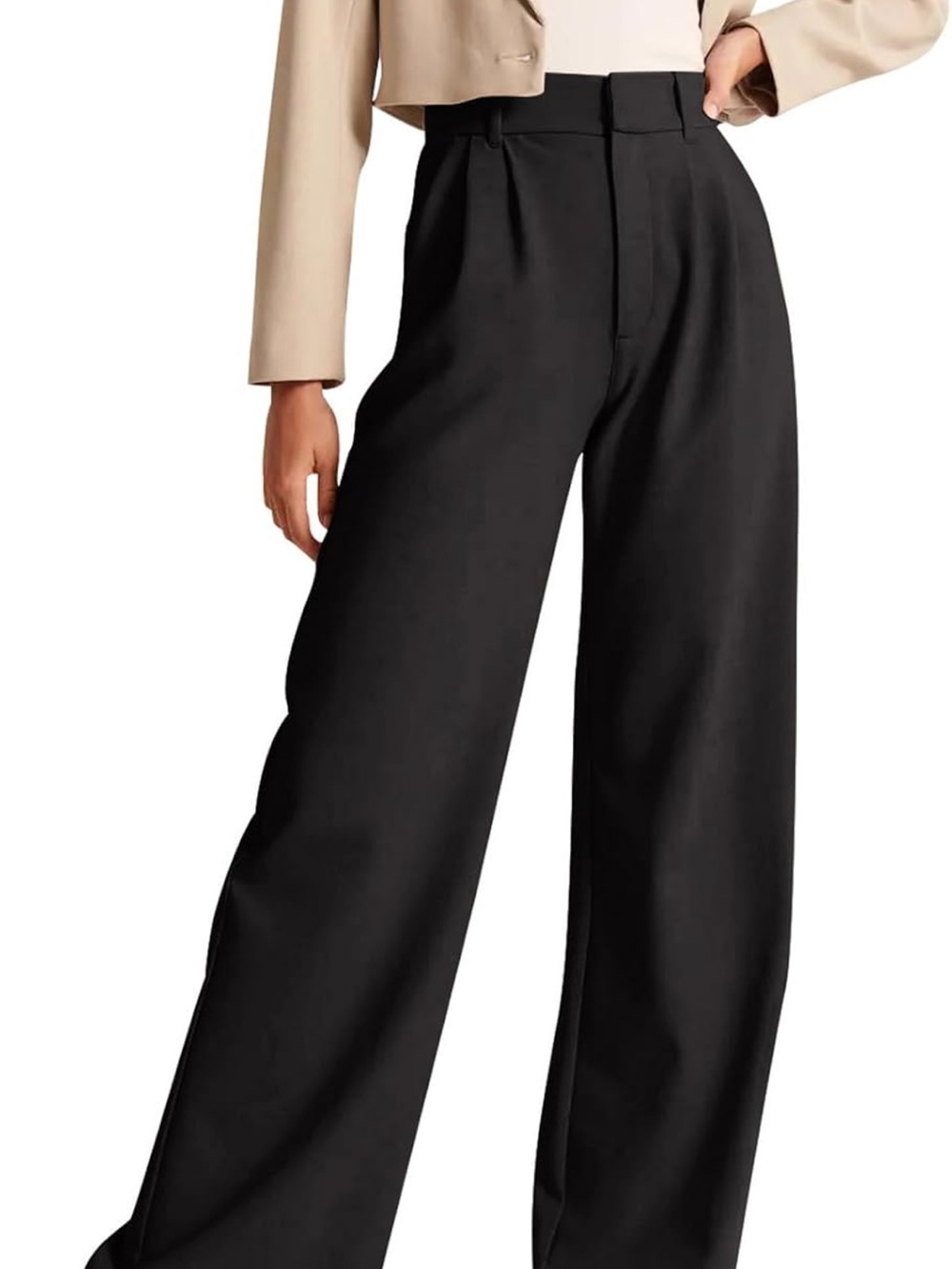 High waisted wide leg dress pants